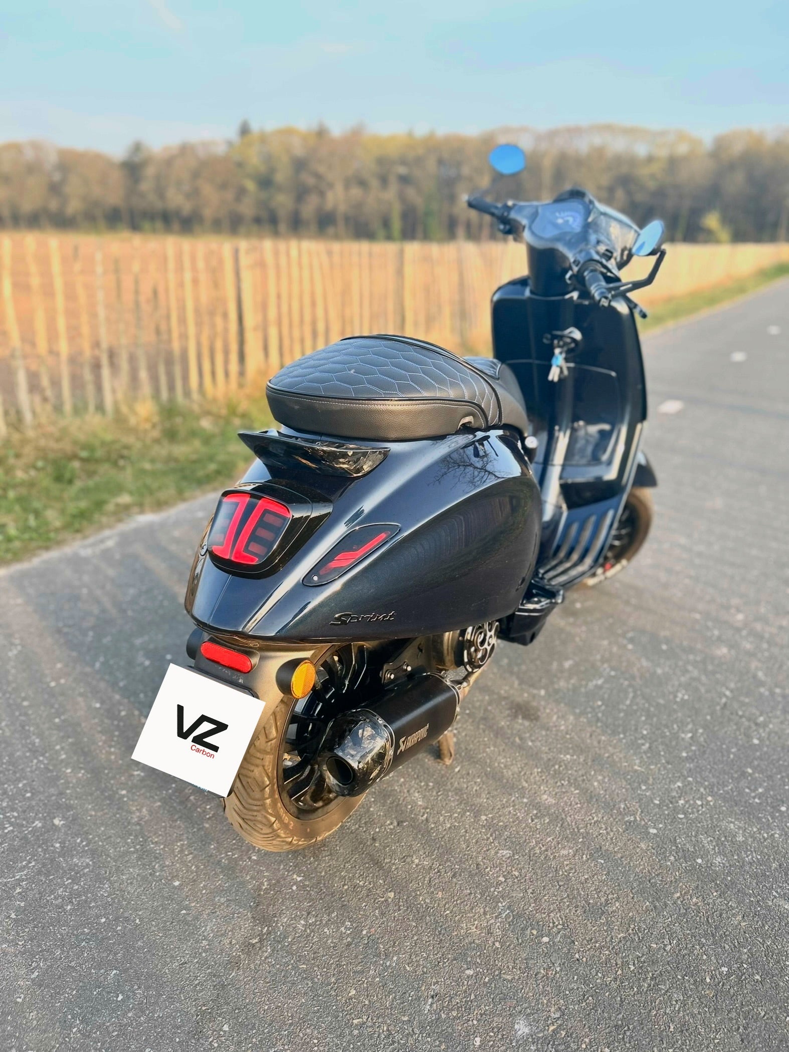 Vespa Sprint & Primavera Ducktail Spoiler Forged Carbon